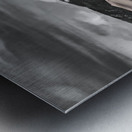 We are so Alike Metal print