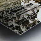 Woodlands North  Metal print