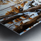 Woodlands Alberta  Metal print
