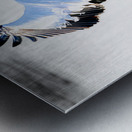 Flyaway Metal print