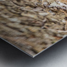 One More Metal print