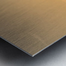 SeaWorld San Diego Silhouette Sunrise Metal print