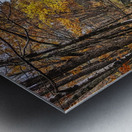 Echoes of Autumn on the Paper Mill Trail - Maine River Wall Art Metal print