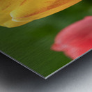 Surrounded by Beauty Metal print