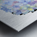 Hydrangea 1 Metal print