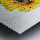 Watercolor Flower Minimalism PNG 7 Metal print