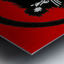 1980s lady bearcats art Metal print