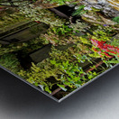 Japanese Garden Reflections Metal print