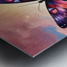 200223 beatutiful butterfly with prety colorslsun Metal print