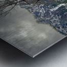 Yosemite Winter Tree Reflections Metal print