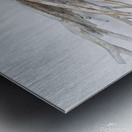 fuga wood Metal print