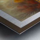 GAME WARDEN Metal print