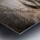 Luck Chalm and Miss Marilyn in Edisto Metal print