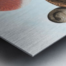 American widgeon duck 1827 Metal print