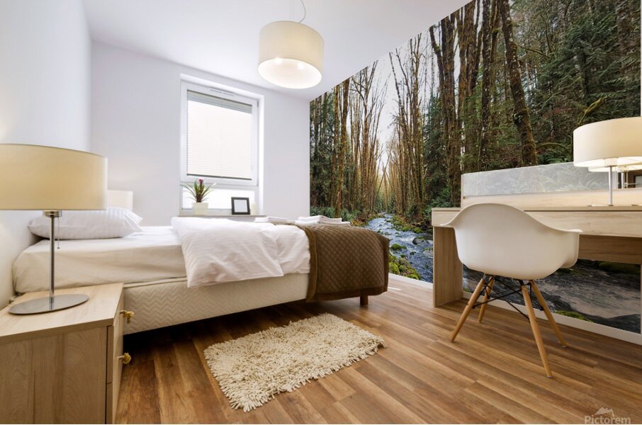 River and Forest Mural print