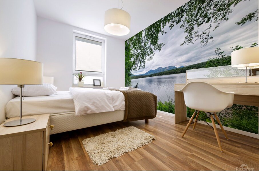 Tree Framed Nature  Mural print