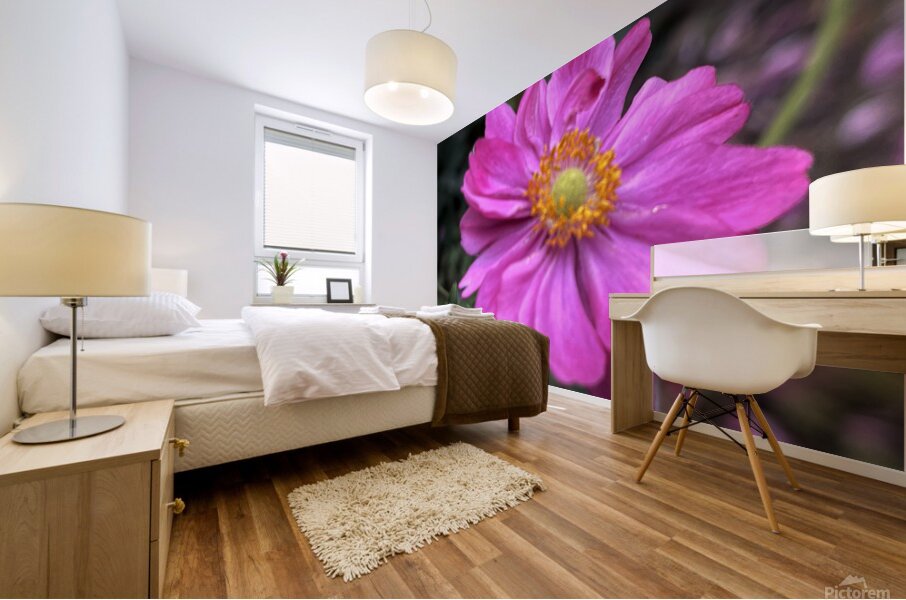 Anemone Hupehensis ‘Prinz Heinrich’ Mural print