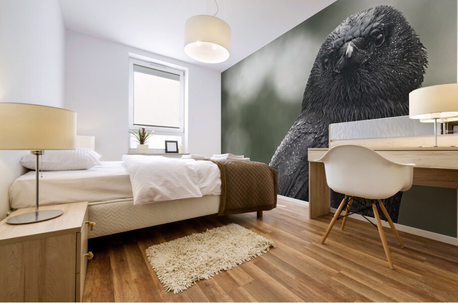 Watchful Eye  Mural print