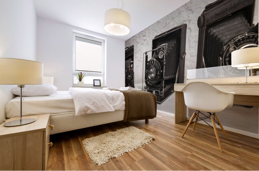 Old cameras Mural print