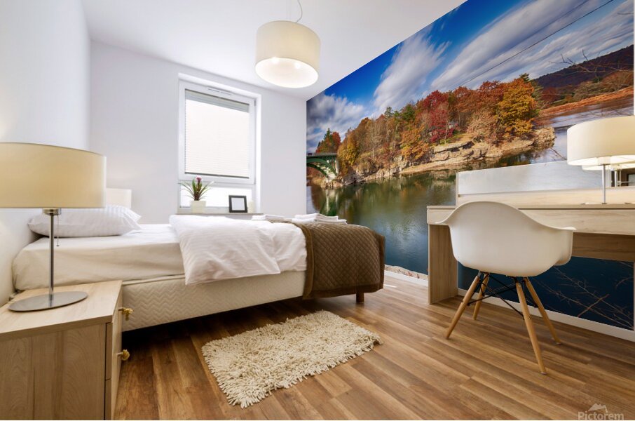 View of the Delaware River Narrowsburg NY Mural print