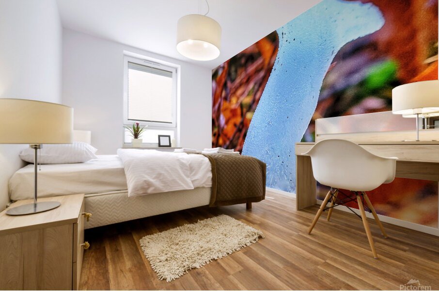 Forest Mushrooms Mural print