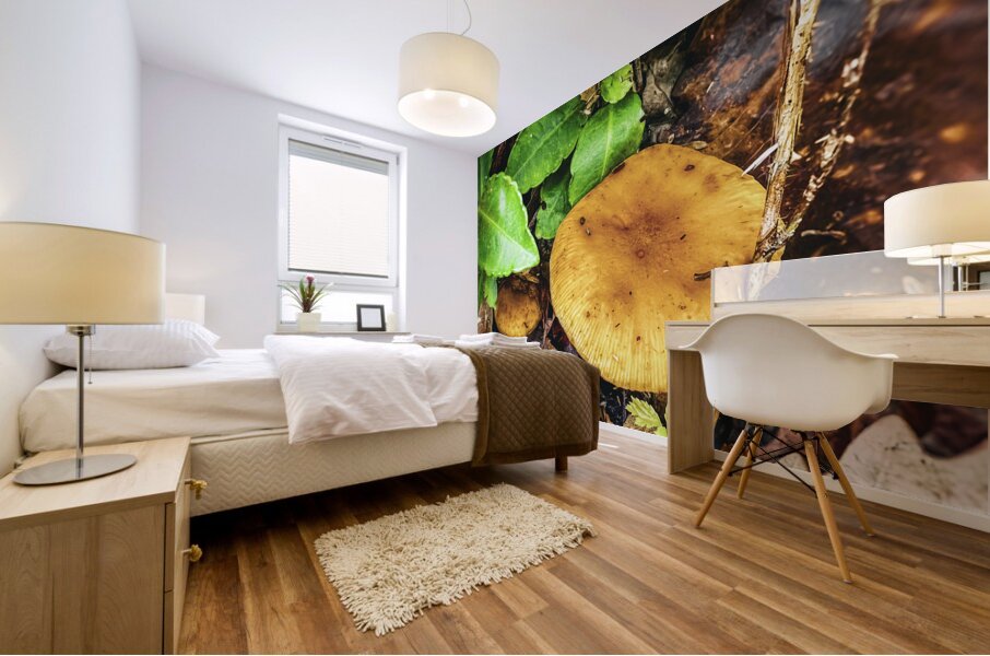 ©Charles Rain Photography Mural print