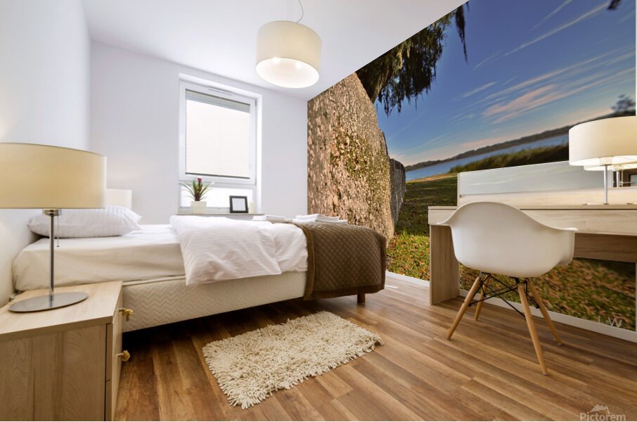 Fort Frederick Port Royal South Carolina Wall Mural print