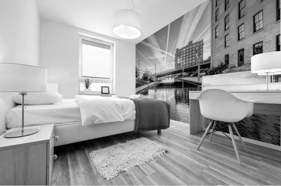 Gene Leahy Mall Lake Morning Grayscale Mural print