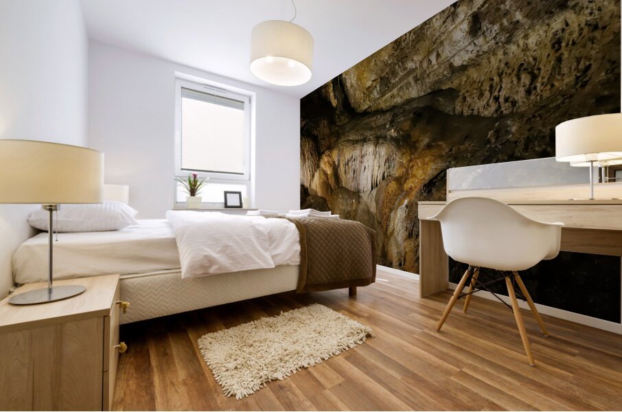 Caves in SW Wisconsin  Mural print