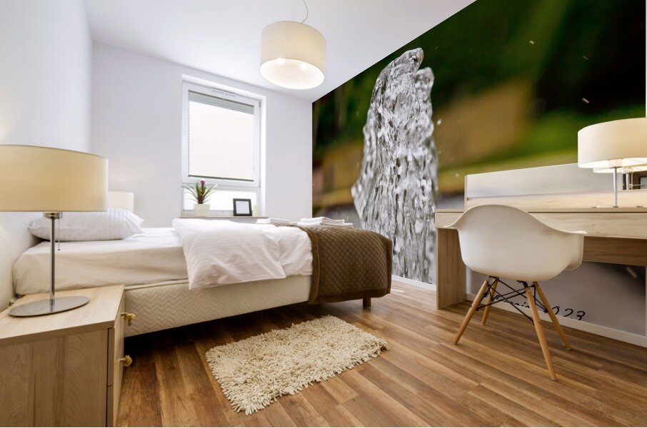 Fountain At the Botanical Garden Mural print