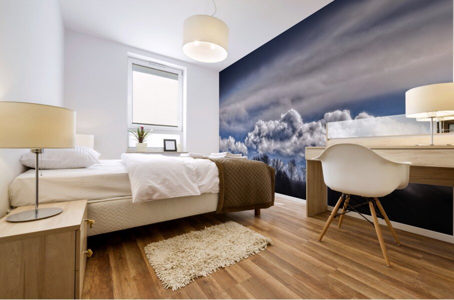 FS240302 CLOUDSCAPE Mural print
