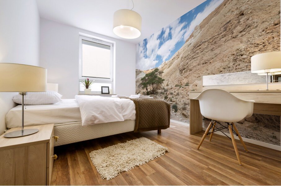 IMG 8189 Mural print