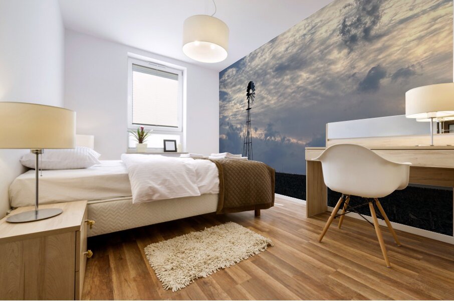 IMG 6235 Mural print