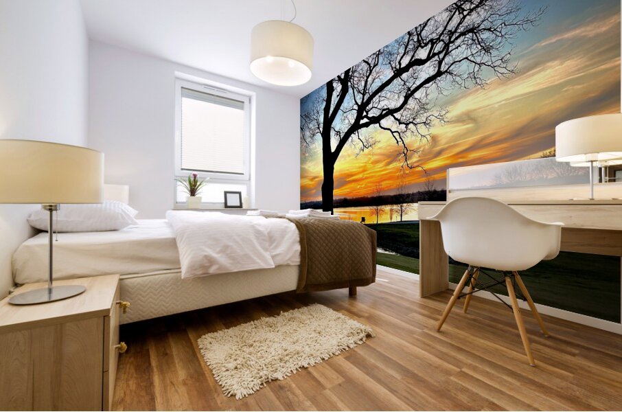 IMG 6009 Mural print