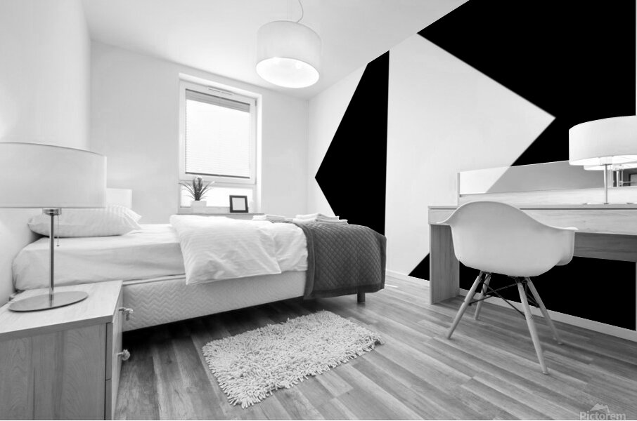 Shadowed contrast Mural print