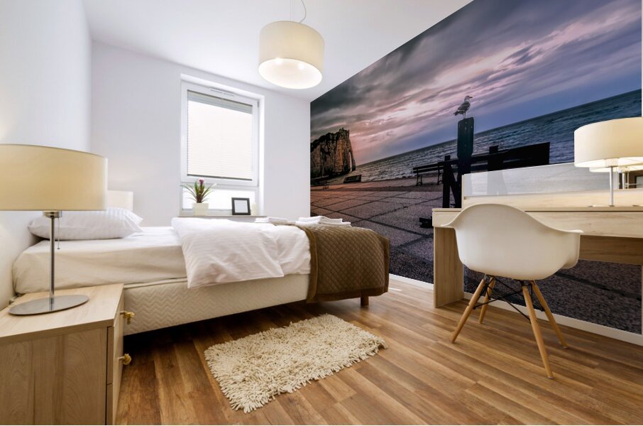 Seagull looking his Normandy Cliffs at Sunset Mural print