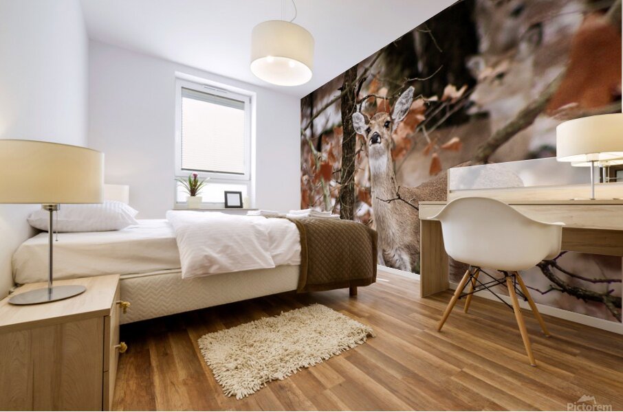Winter doe Mural print