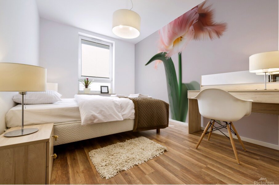 DOWNLOAD   Furry Pink 24x30 4 5ratio Mural print