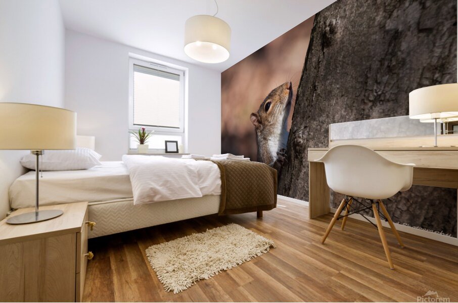 Squirrel in the Sunlight Mural print