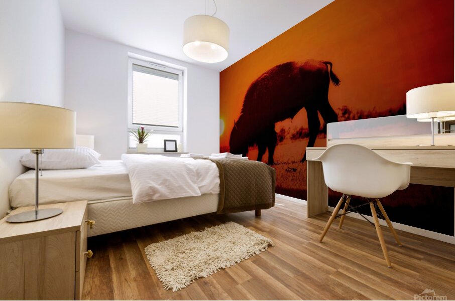 Orange Bison Sunset Mural print