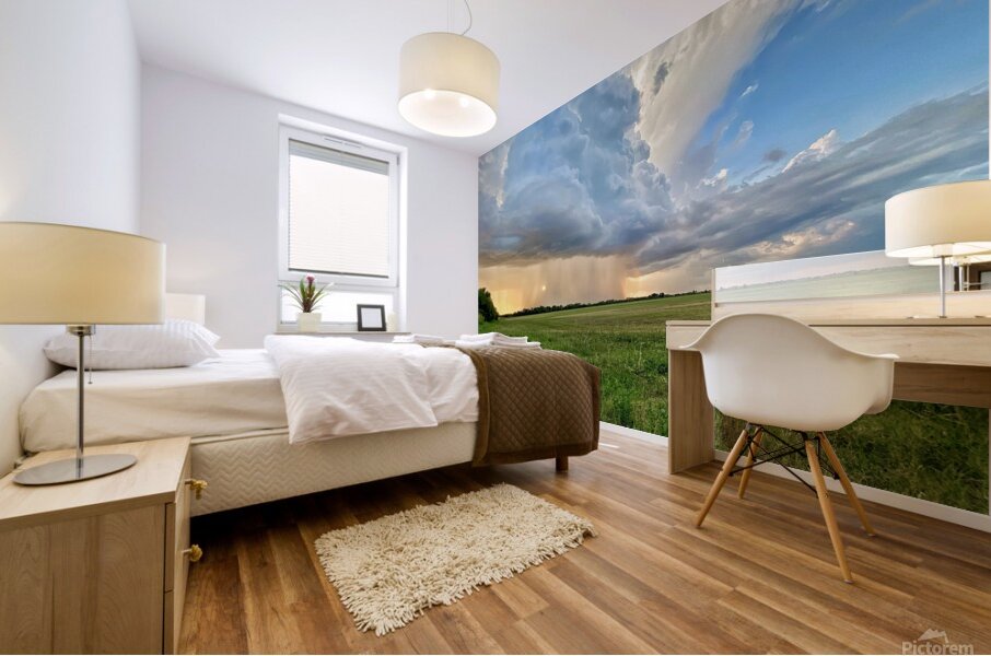 Rolling in Mural print