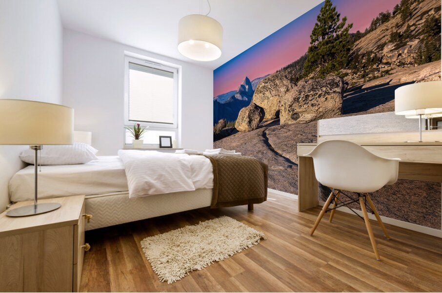 Half Dome from Behind Mural print