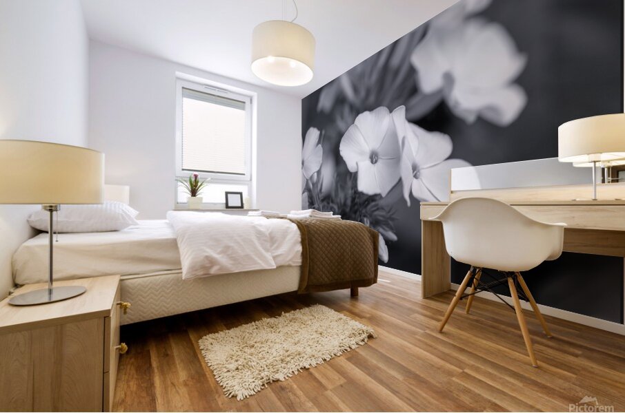 Summer Phlox Flowers Blue Tone  Mural print