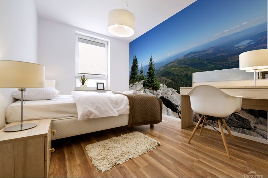 Washington Mural print