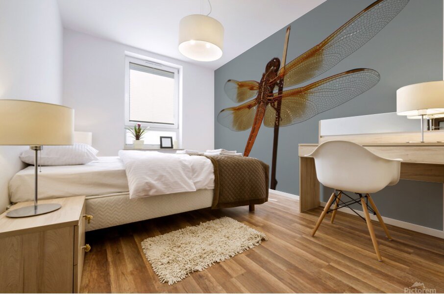 Dragonfly Mural print
