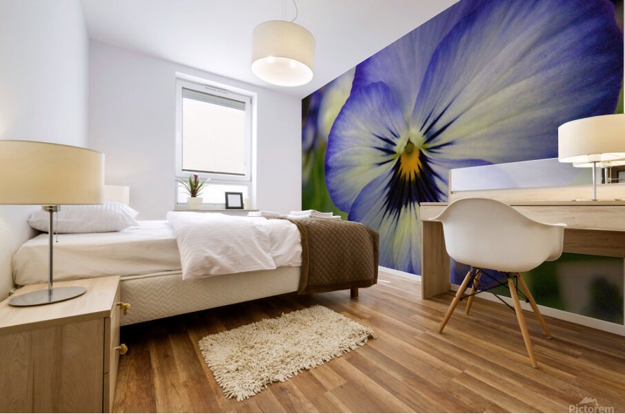 Blue Pansy Mural print