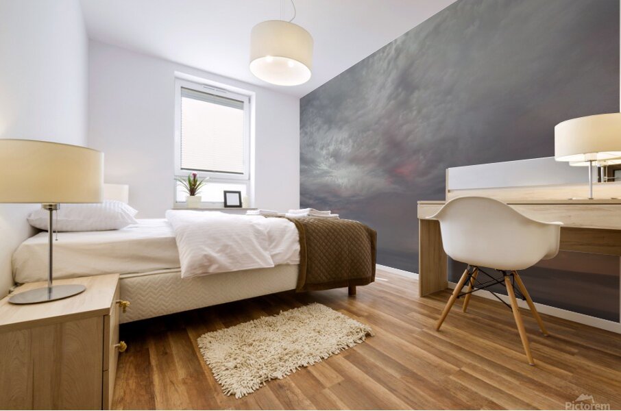 20240322 185401 Mural print