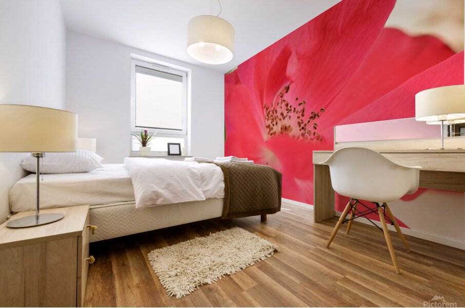 Red Rose Mural print