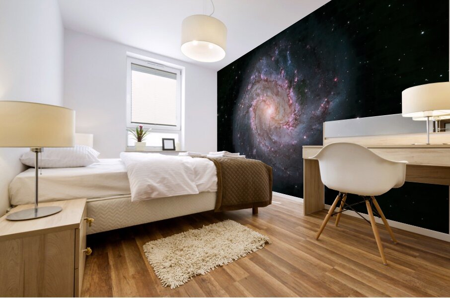 hubble telescope high definition image 01 13 Mural print