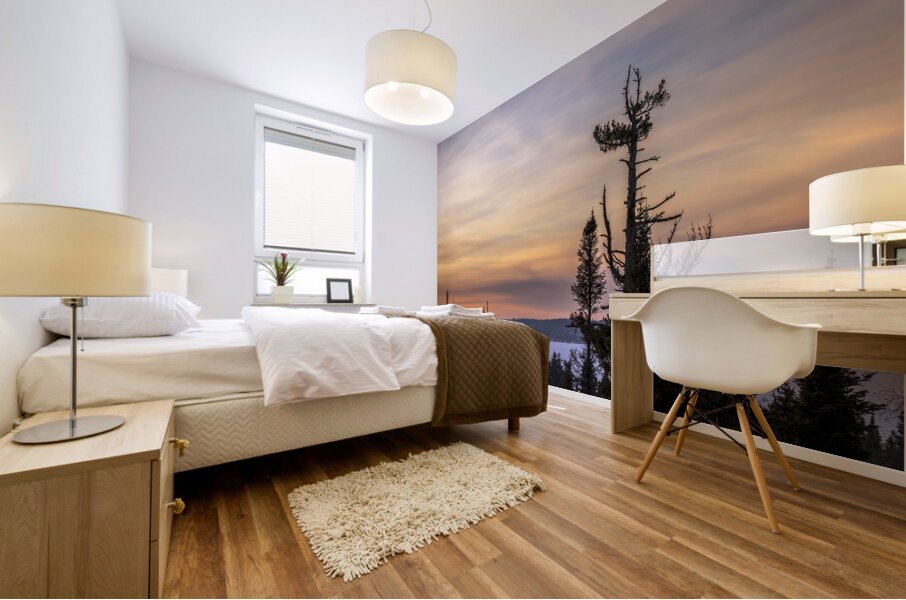 Overlooking Falcon Lake Mural print